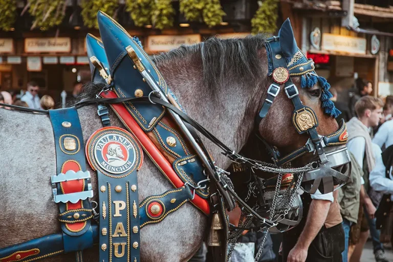 muenchen_bildstrecke_8